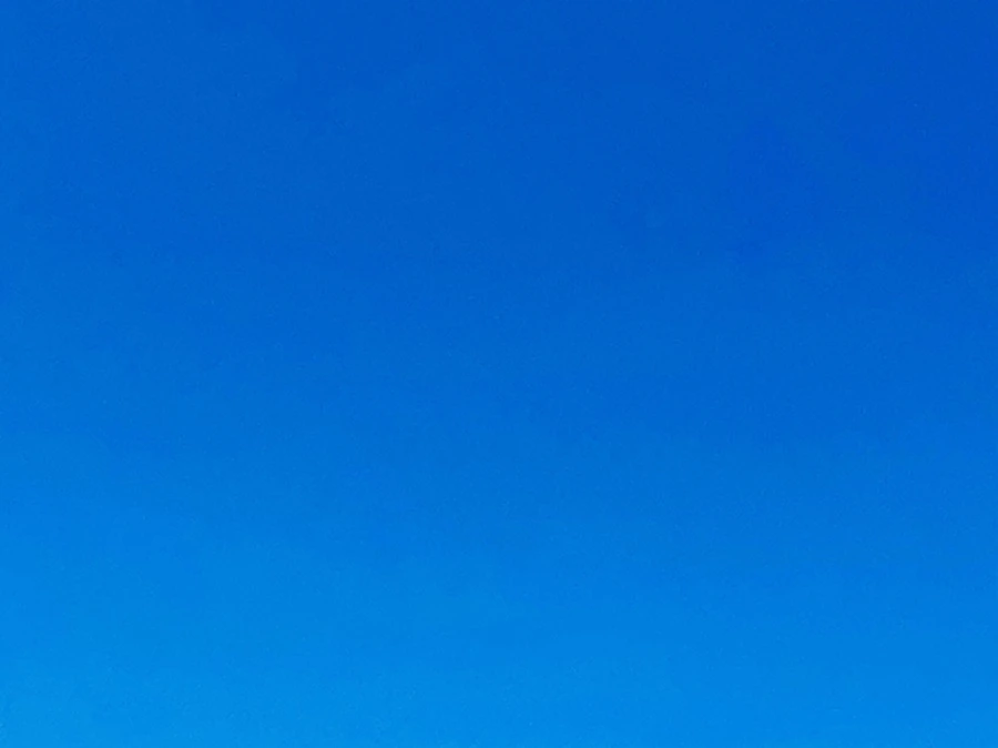 IMG_6601.jpg?type=w966