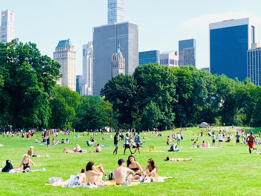 IMG_0594.jpg?type=w966