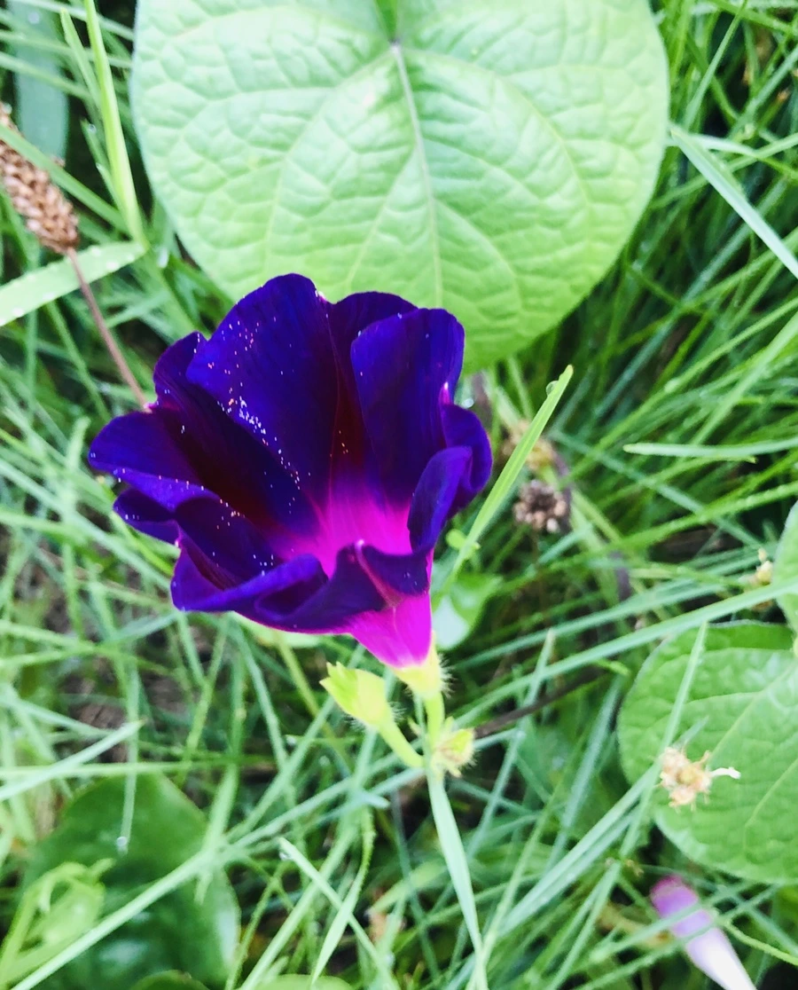 IMG_4327.jpg?type=w966