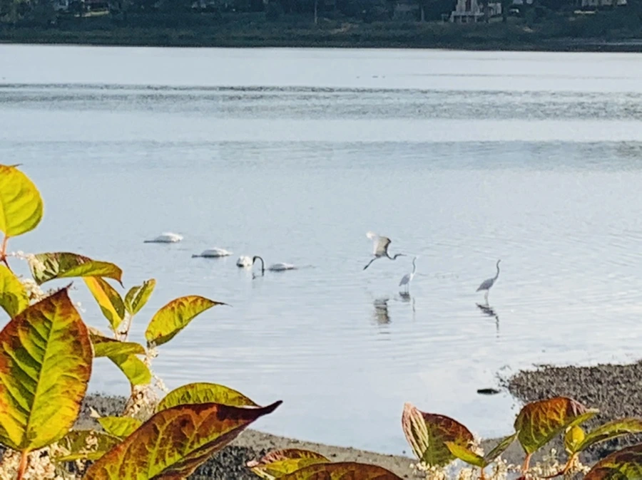 IMG_7805.jpg?type=w966