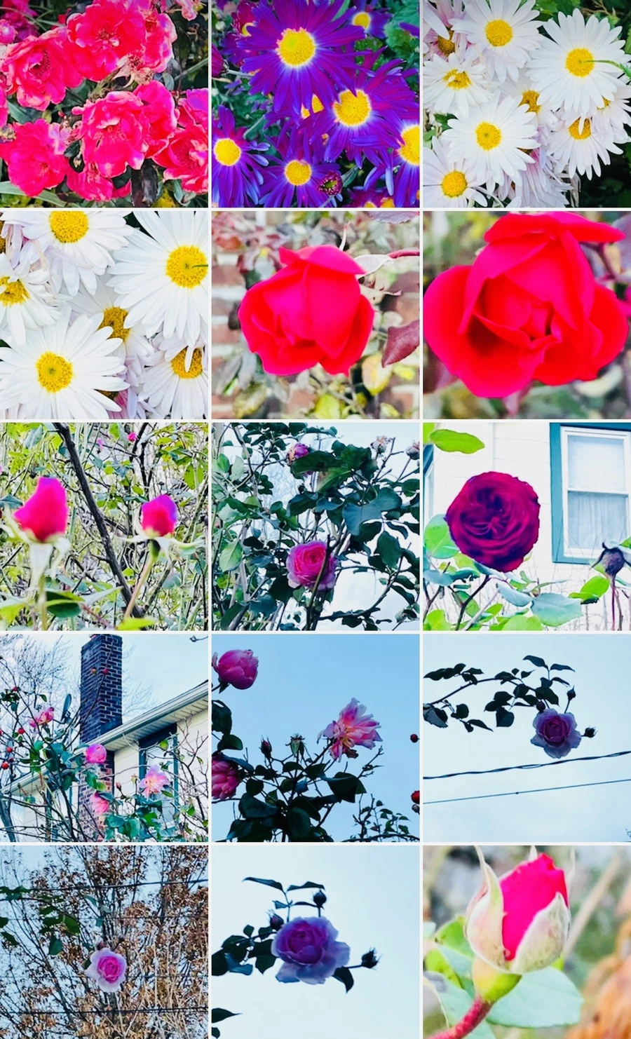 IMG_6810.jpg?type=w966