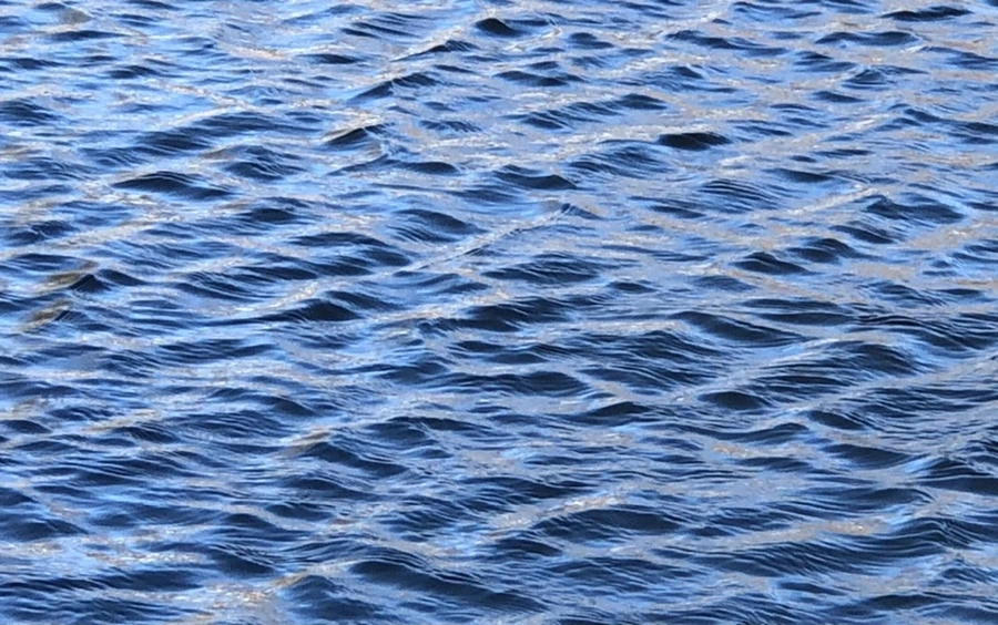 IMG_3827.jpg?type=w966