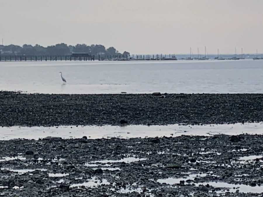 IMG_8184.jpg?type=w966