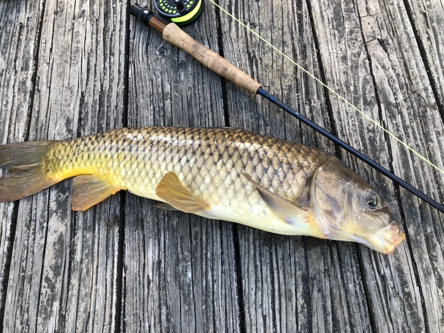 IMG_9227.jpg?type=w966