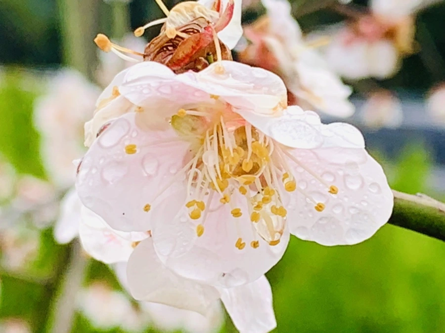 IMG_3948.jpg?type=w966