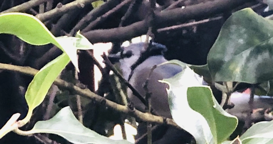 IMG_6344.jpg?type=w966