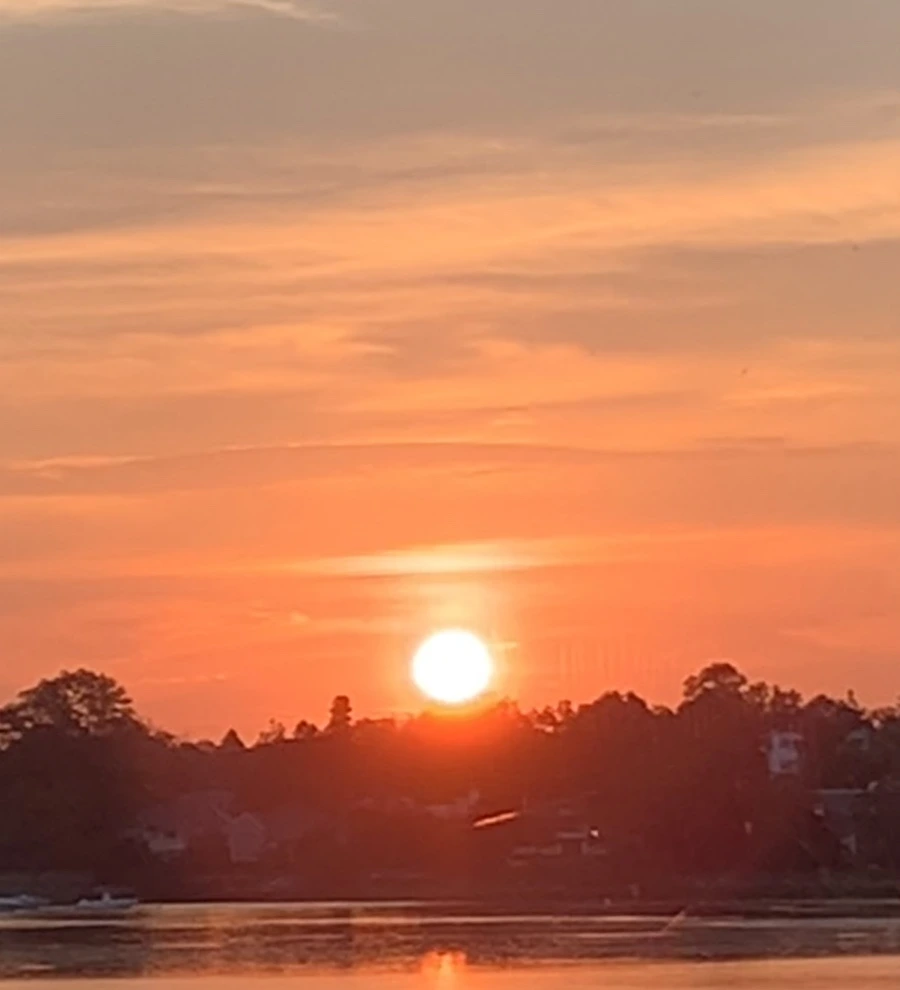 IMG_0979.jpg?type=w966