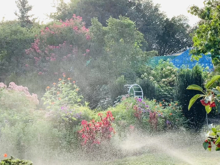 IMG_1240.jpg?type=w966