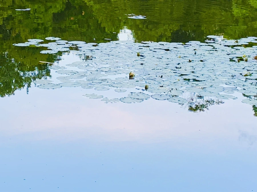 IMG_2981.jpg?type=w966