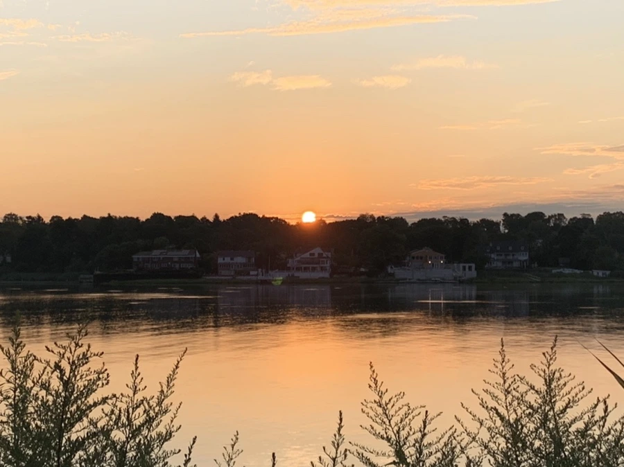 IMG_1266.jpg?type=w966