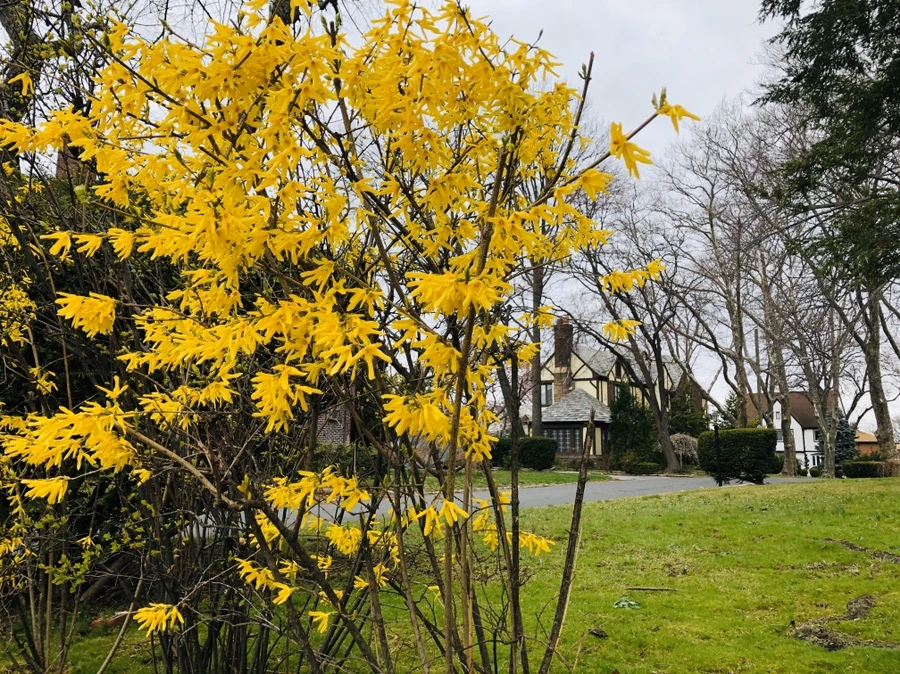 IMG_6702.jpg?type=w966