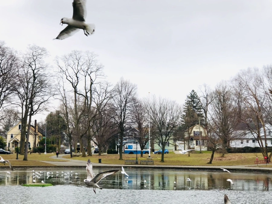 IMG_3252.jpg?type=w966