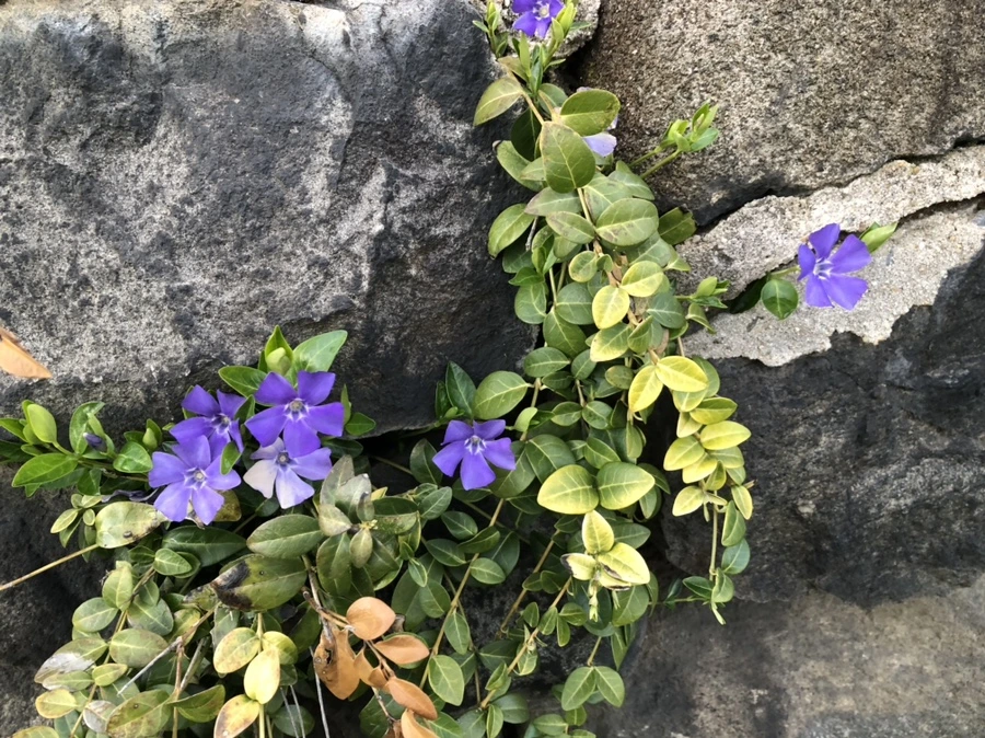 IMG_2156.jpg?type=w966