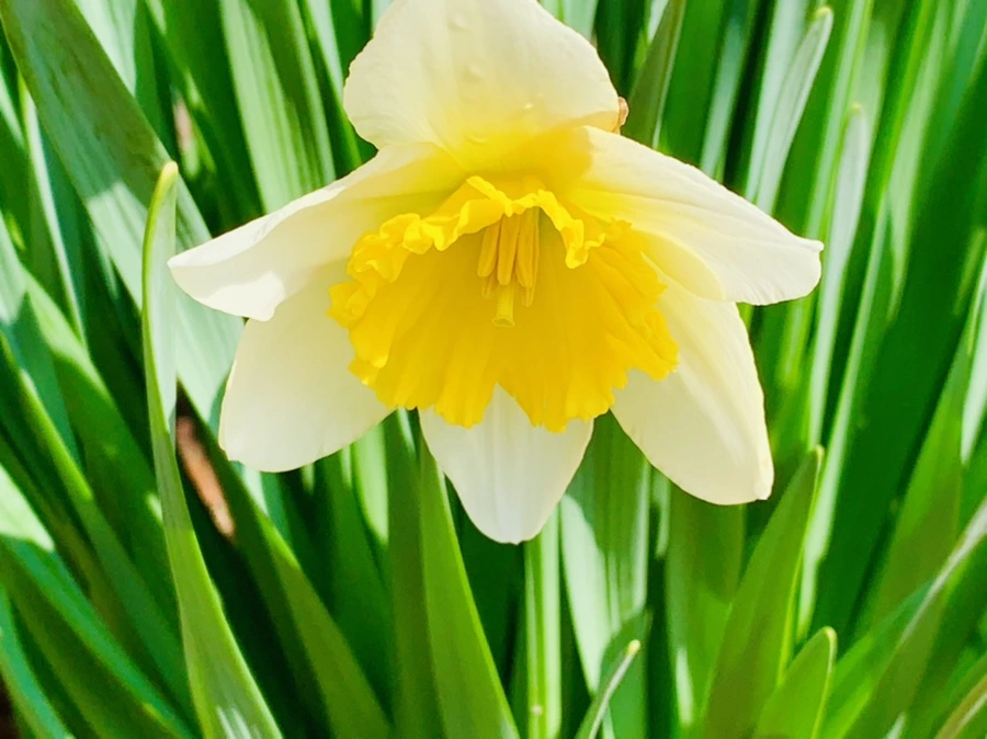 IMG_4164.jpg?type=w966