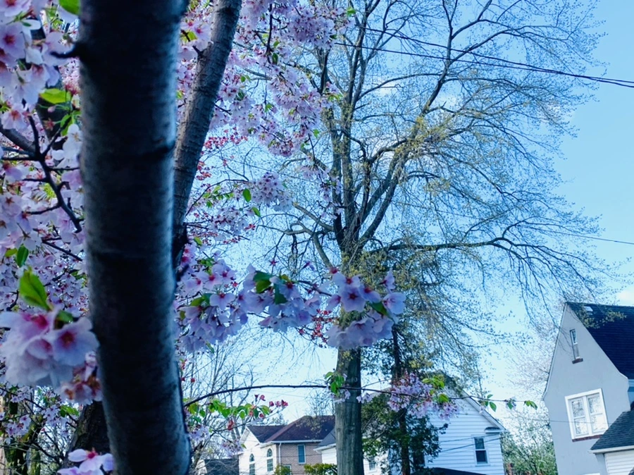 IMG_2649.jpg?type=w966