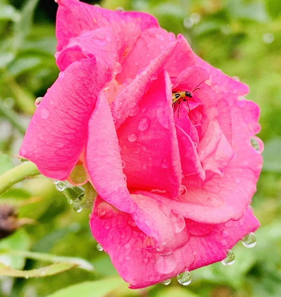 dx7vSLQo286yzsSxW9M1CdnAOO4