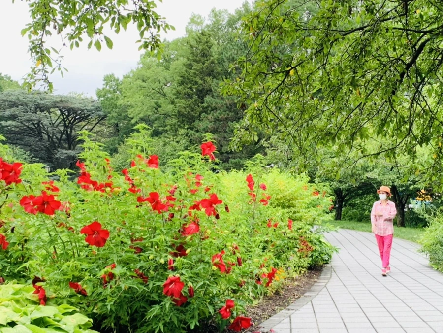 IMG_1121.jpg?type=w966