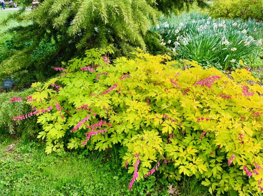 IMG_6979.jpg?type=w966