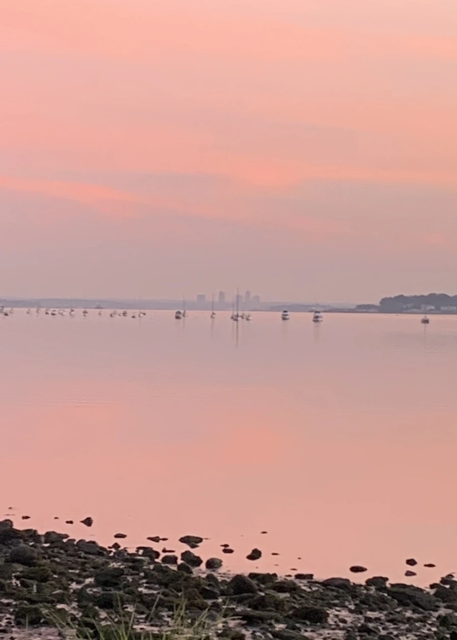 IMG_4353.jpg?type=w966