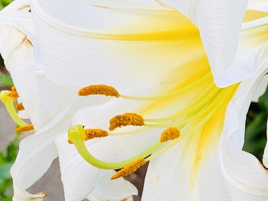 IMG_5673.jpg?type=w966