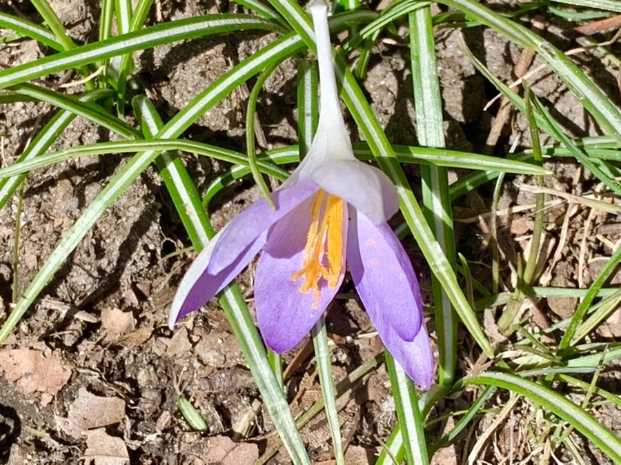 IMG_8213.jpg?type=w966