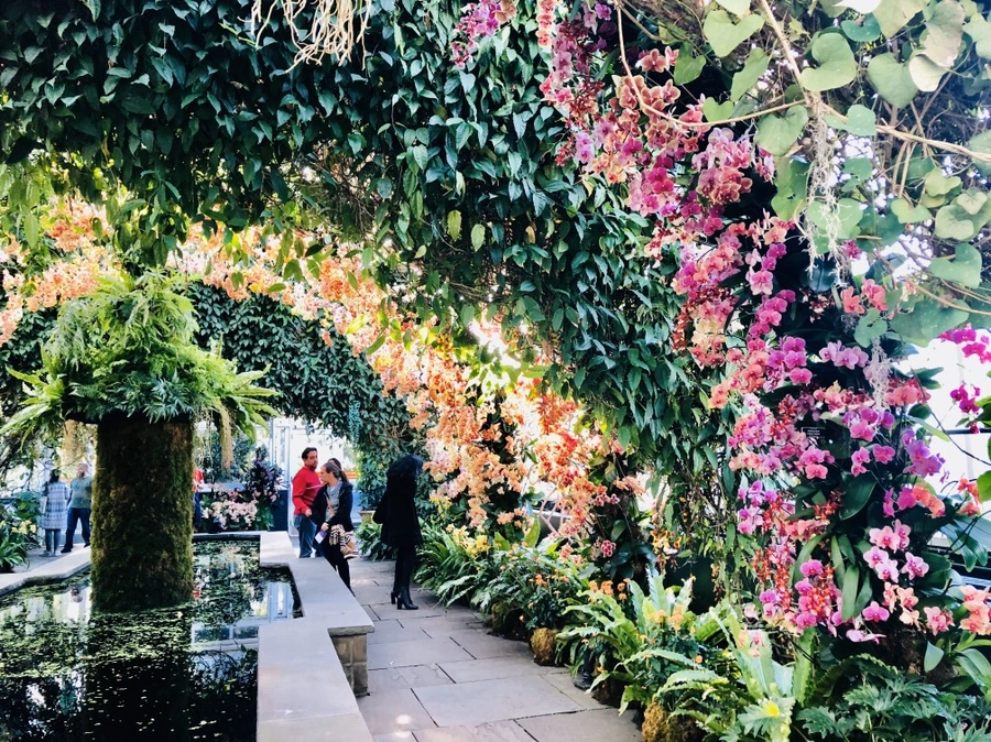 IMG_6303.jpg?type=w966