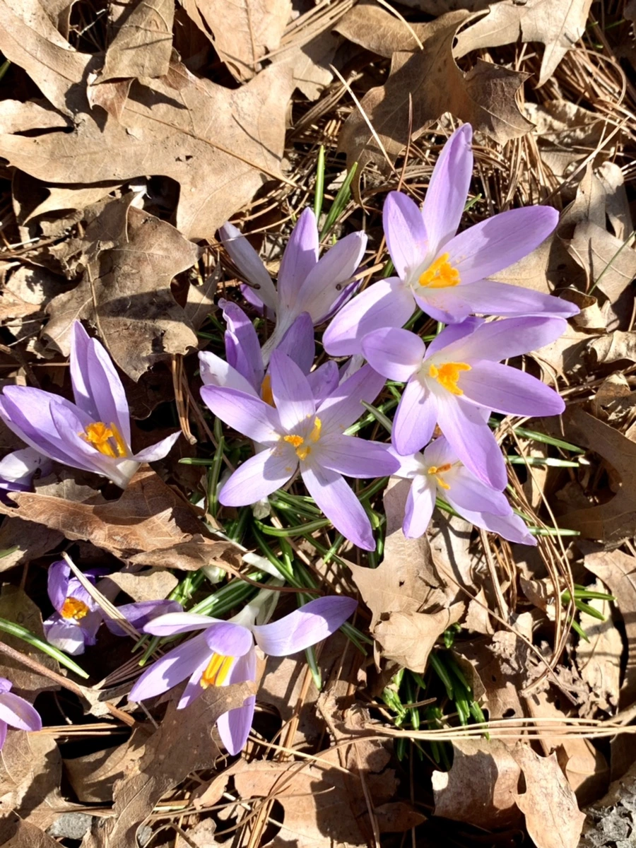 IMG_9670.jpg?type=w966