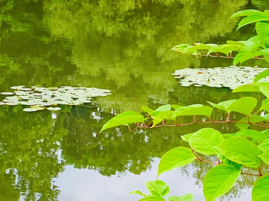 IMG_2991.jpg?type=w966