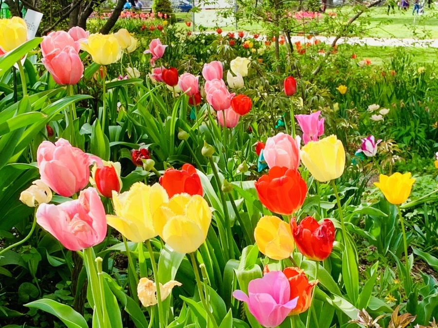 IMG_7038.jpg?type=w966