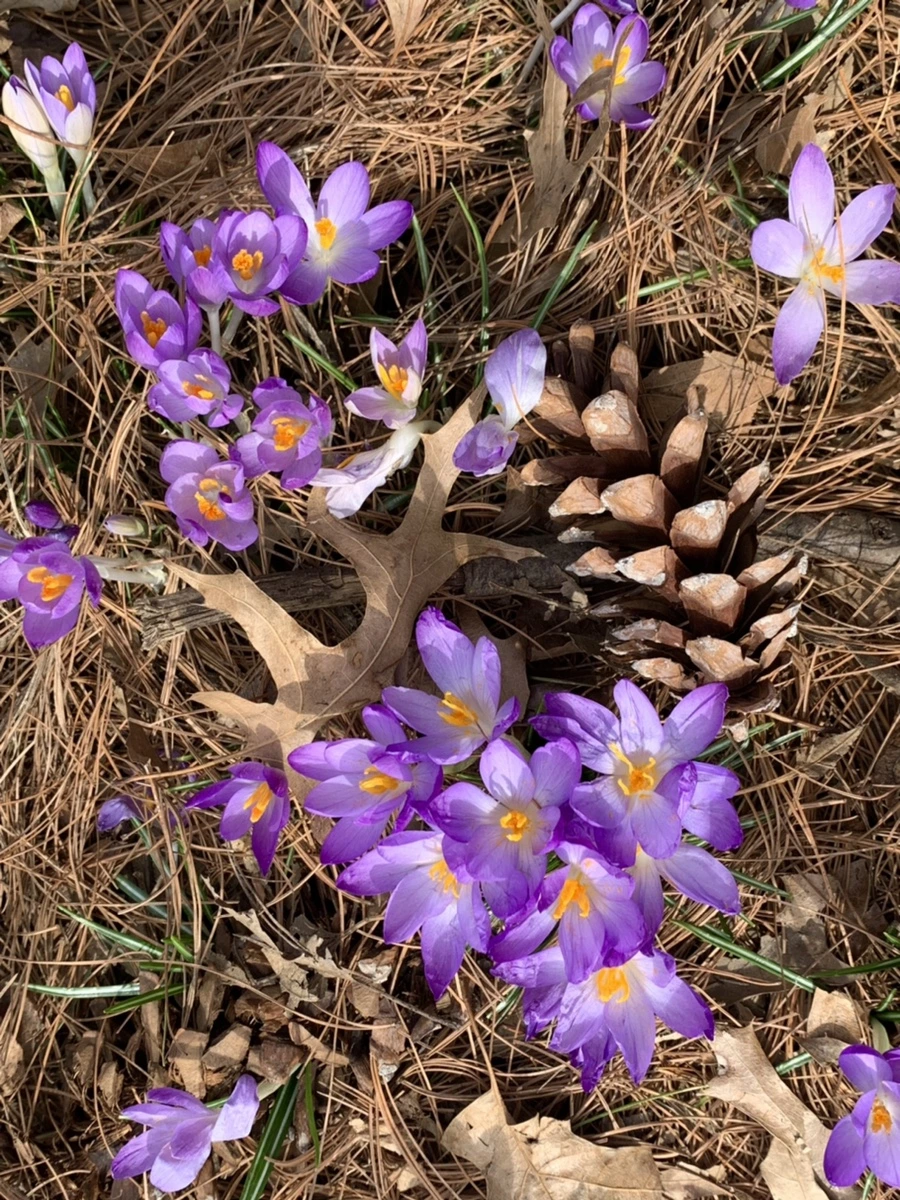 IMG_0447.jpg?type=w966