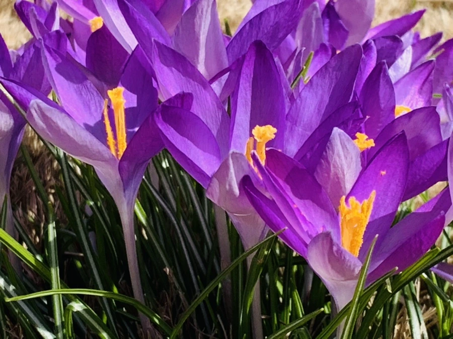 IMG_0683.jpg?type=w966