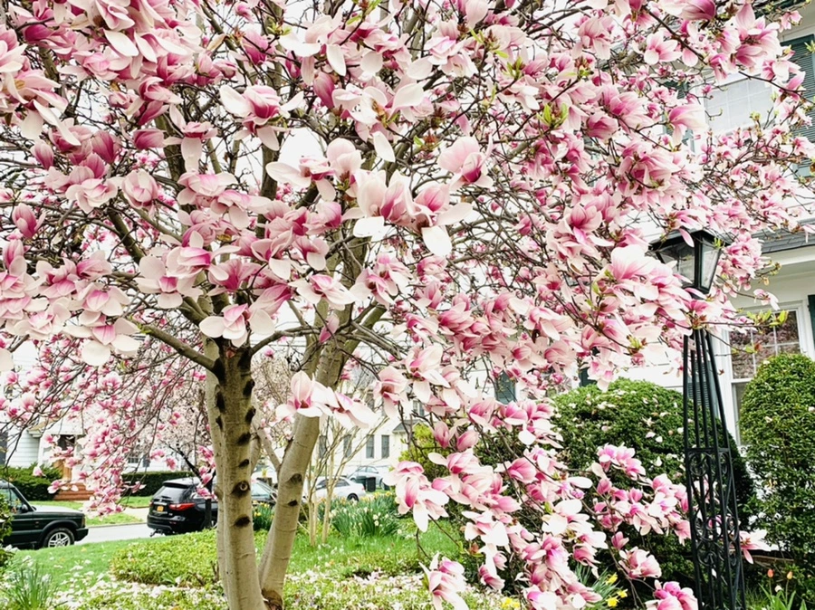 IMG_0968.jpg?type=w966