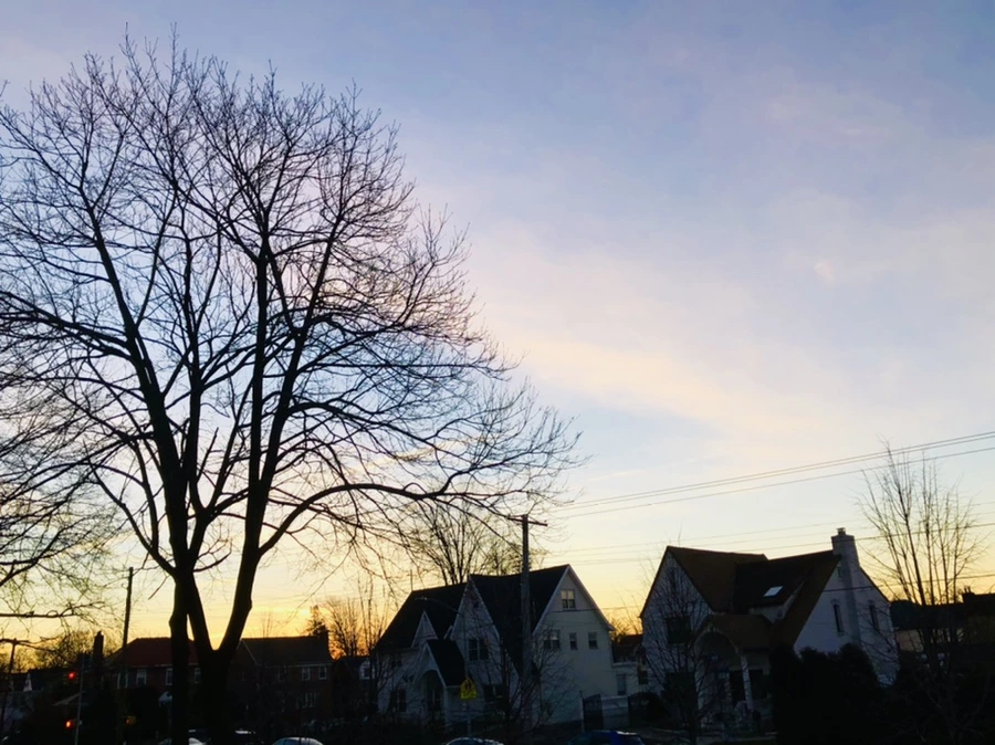 IMG_5622.jpg?type=w966