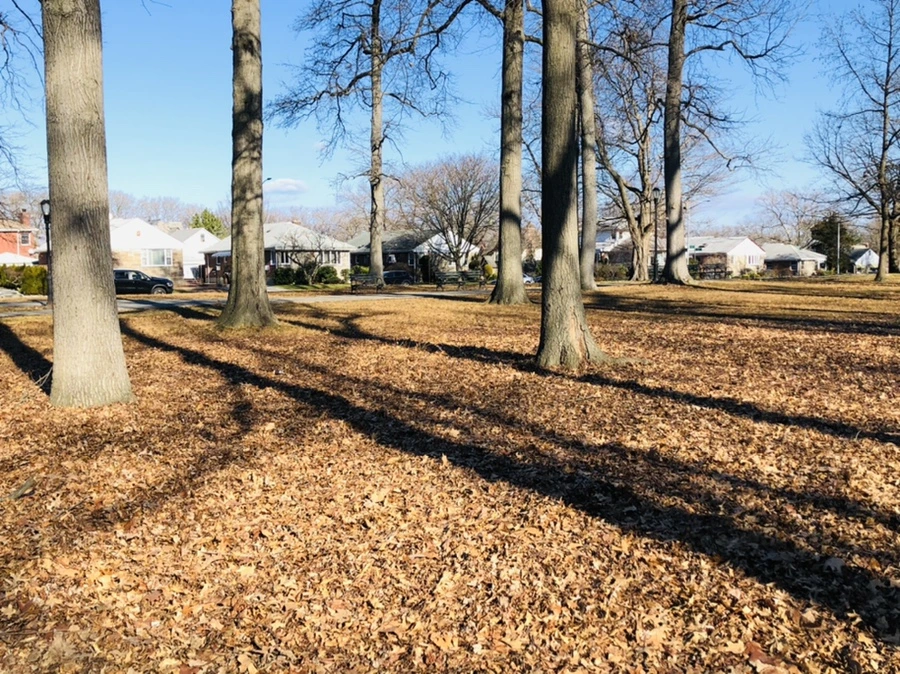 IMG_0253.jpg?type=w966