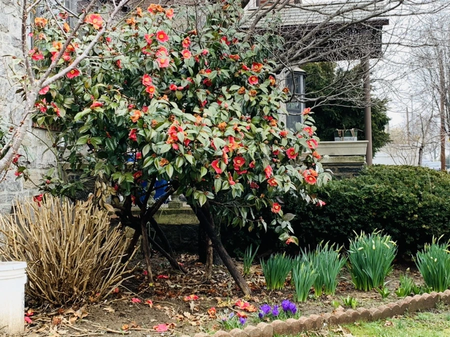 IMG_3772.jpg?type=w966