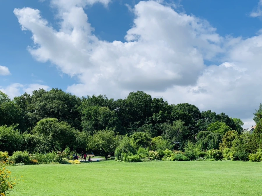 IMG_0605.jpg?type=w966