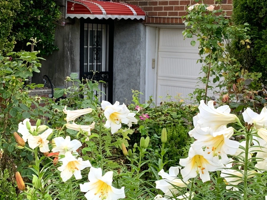 IMG_5677.jpg?type=w966