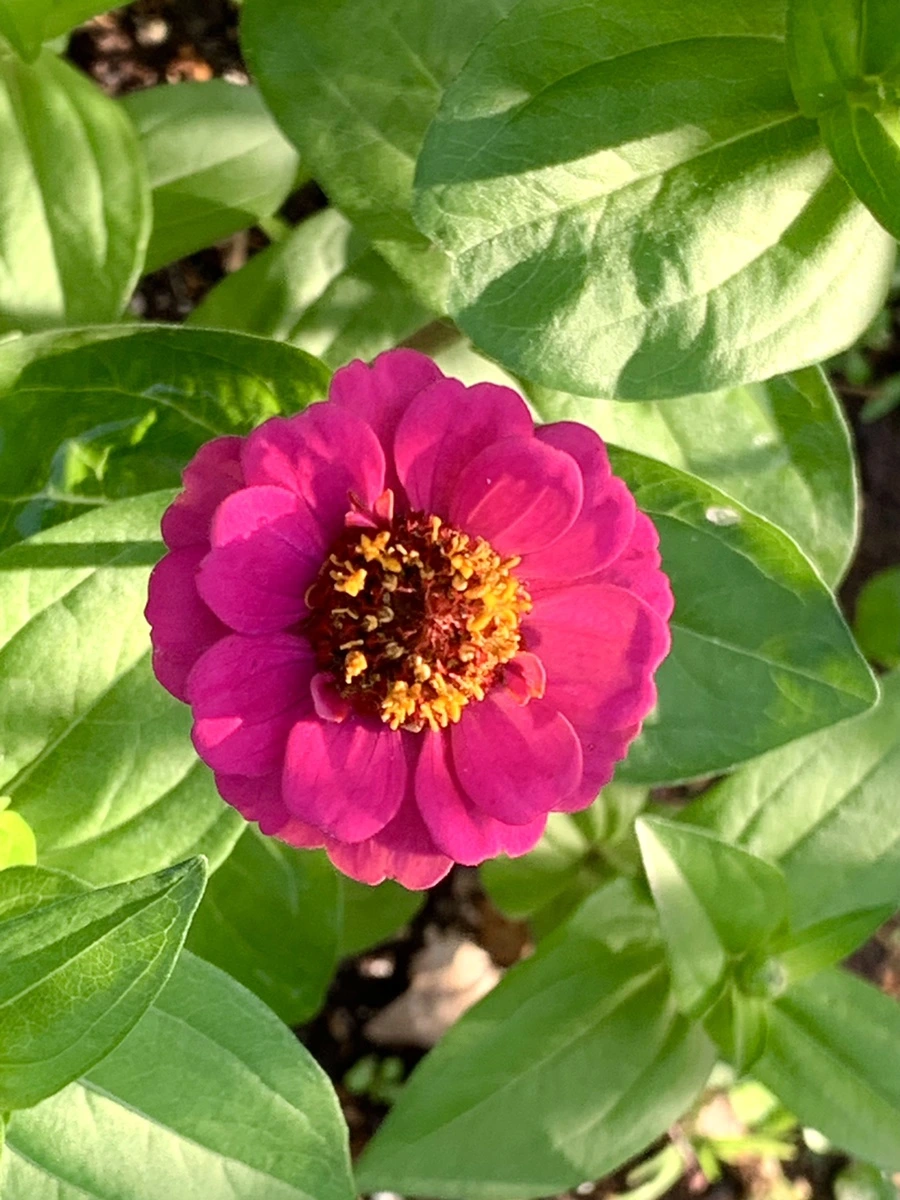 IMG_5864.jpg?type=w966