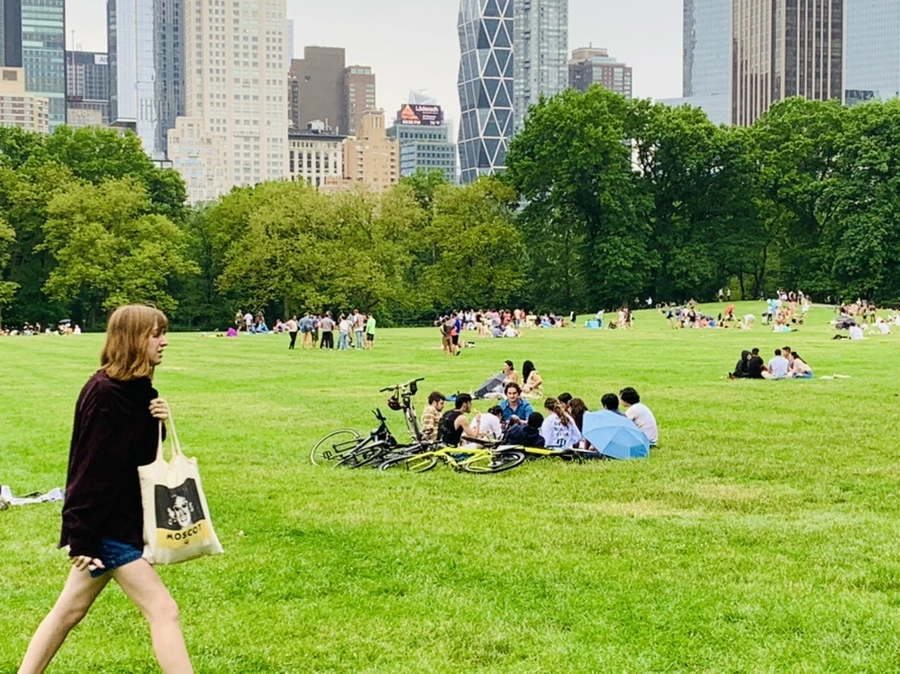 IMG_3346.jpg?type=w966