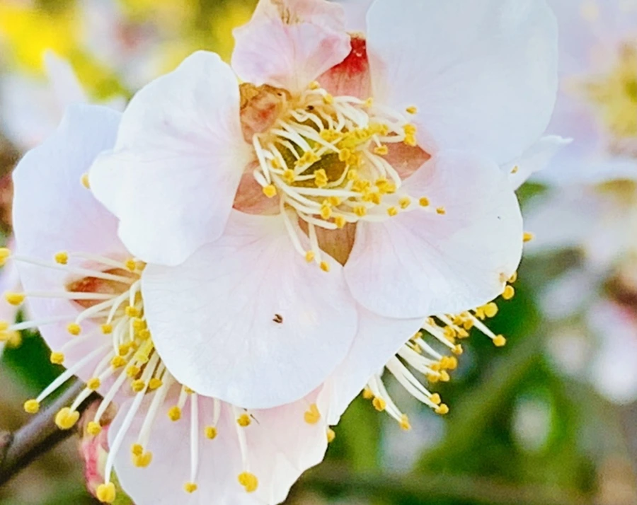 IMG_0817.jpg?type=w966