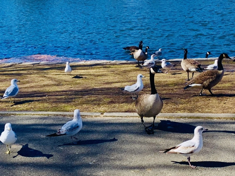 IMG_6689.jpg?type=w966