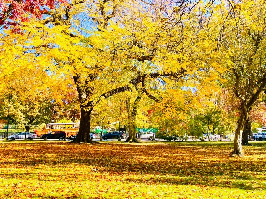 IMG_2575.jpg?type=w966