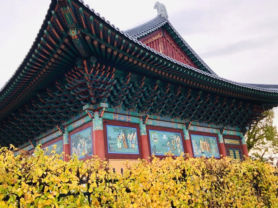 IMG_3409.jpg?type=w966