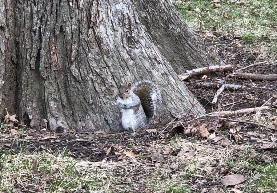 IMG_2461.jpg?type=w966