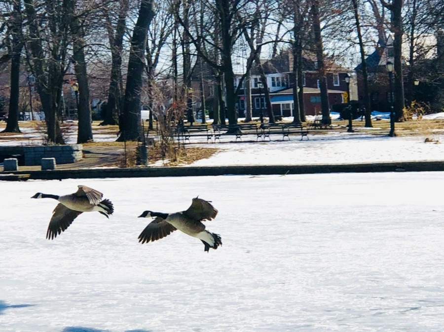 IMG_5077.jpg?type=w966