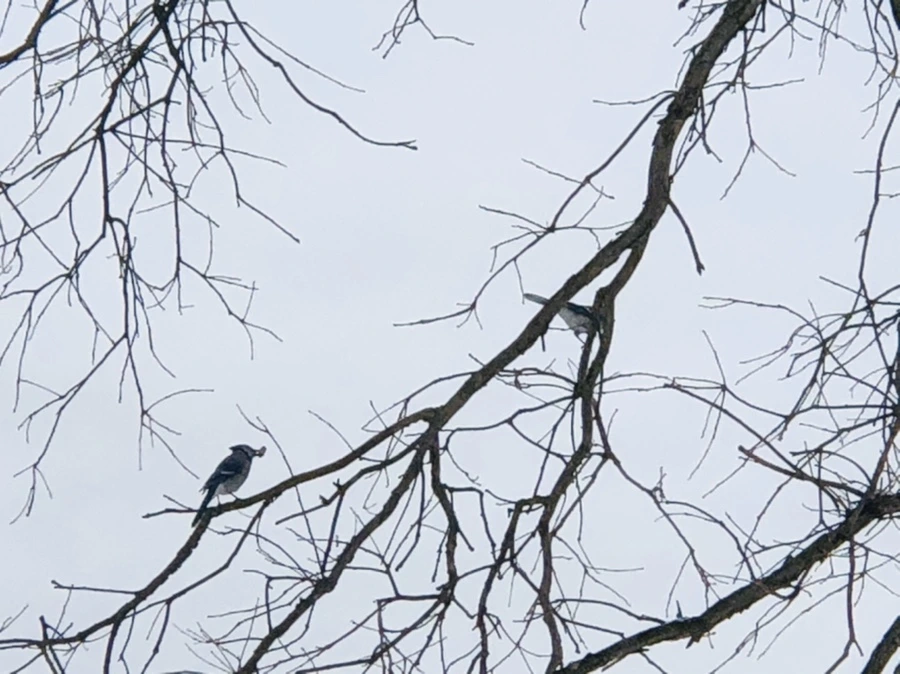 IMG_9468.jpg?type=w966