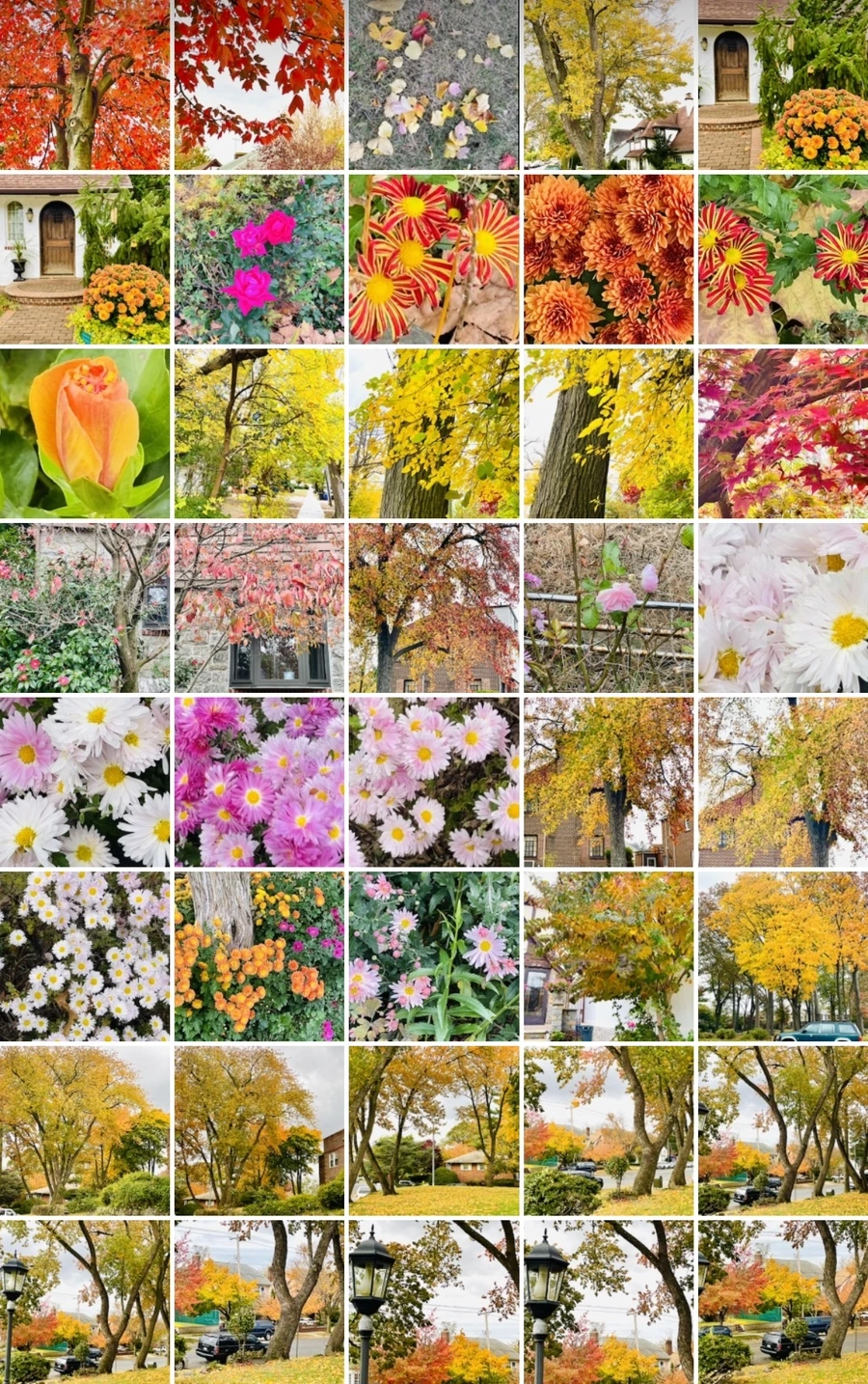 IMG_2516.jpg?type=w966