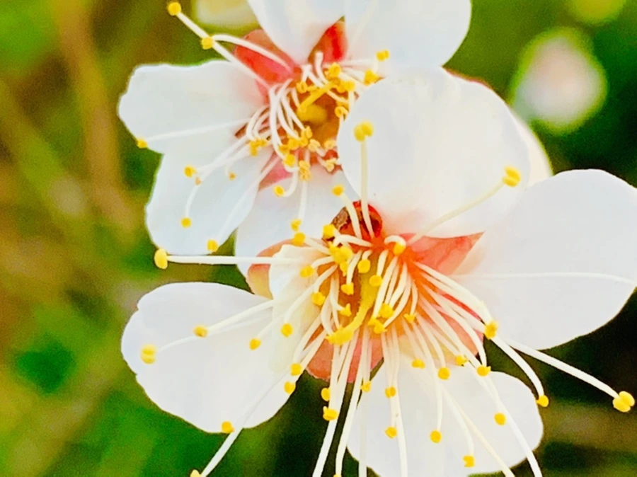 IMG_2845.jpg?type=w966