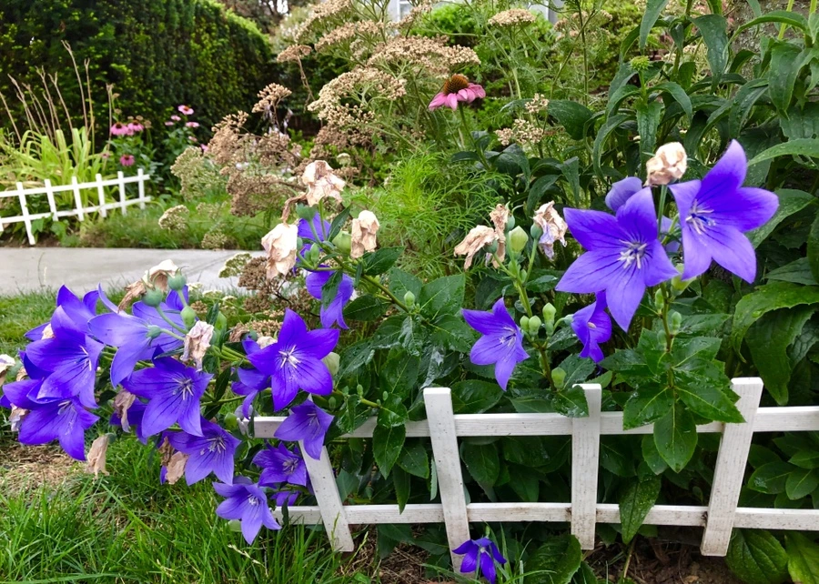 IMG_3329.jpg?type=w966