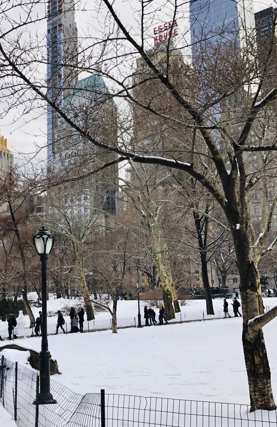 IMG_0387.jpg?type=w966